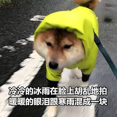  求助,微博被别人小号视奸