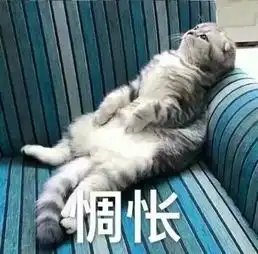  斗图你这是犯罪