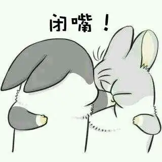 网红懒懒兔表情包求饶