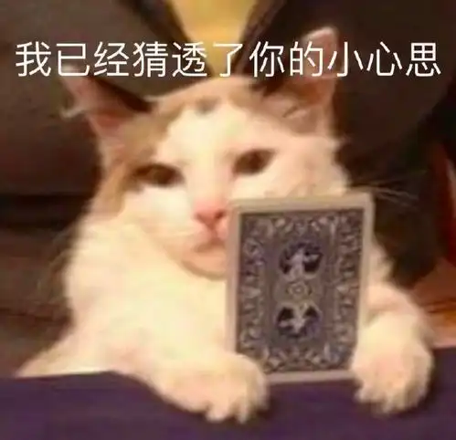  2021年8月12日早鸟报