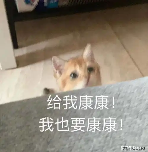  可爱表情包图片好奇,你准备生气的样子