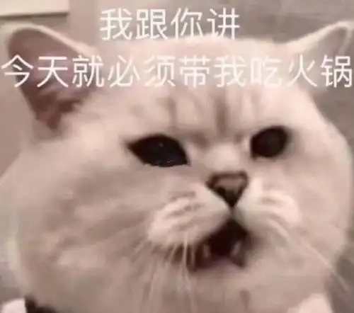  有哪些超级适合发朋友圈的搞笑文案语录推荐呢