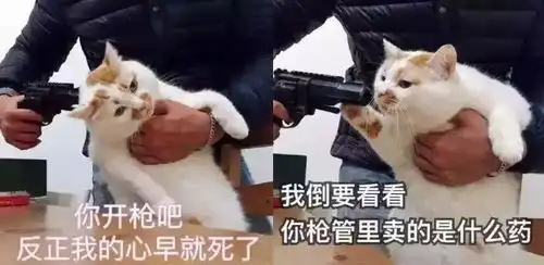  你到底有什么魔力,让我爱得如此深沉
