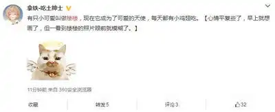 那只用表情入侵地球的网红猫,今天终于要回喵星了