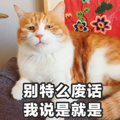  笑话十条走路等红灯中,一大妈硬闯红灯差点被撞到