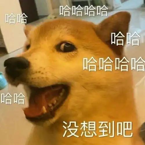  武汉梅雨季来临晴热依旧在线,防暑降温费么样发