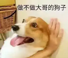  小娜重金求子