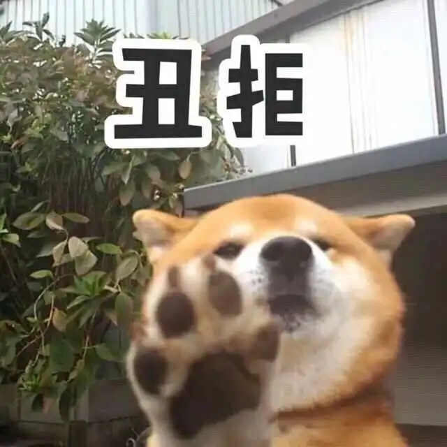 帮我关下灯表情包柴犬沙