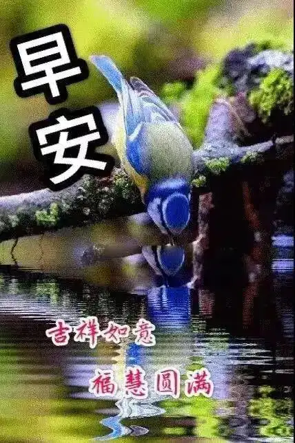  最新emoji表情代码大全中老年表情包微信朋友圈早晨问候语带图片最新早上好问候语动态图片大全...