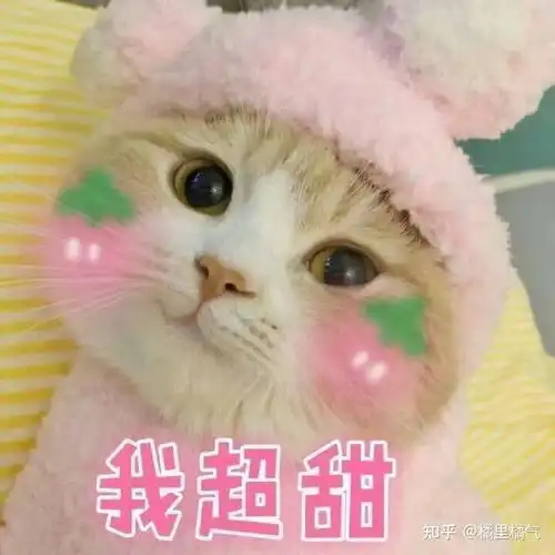 小白必入早c晚a科学护肤攻略