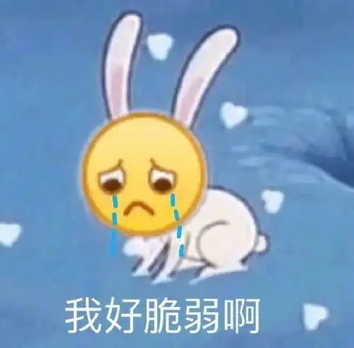  今日份可爱表情包