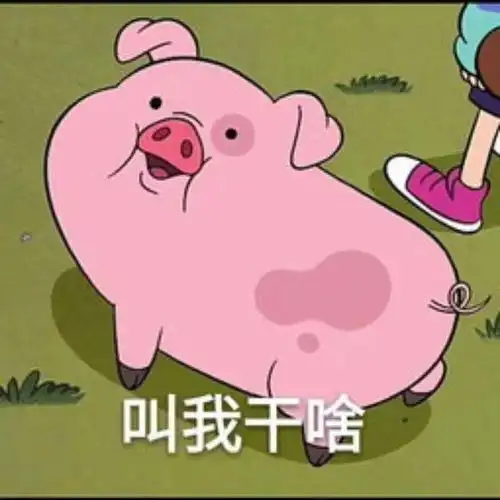  壁纸睡了吗来斗图啊