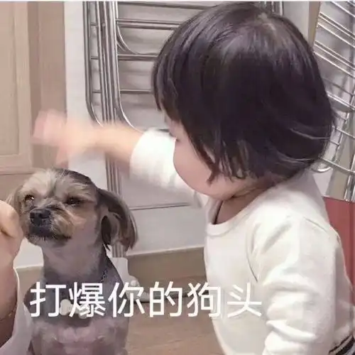  狗狗表情包太沙雕了