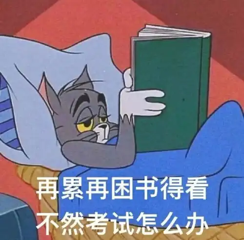  一级建造师各专业的就业方向都是什么
