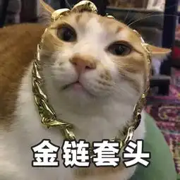  众网红猫的表情包,火速来领