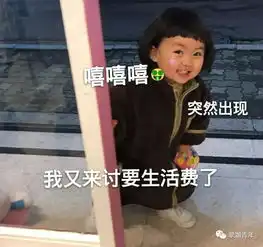 讨生活费表情包搞笑宁肯