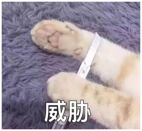  娱乐圈搞笑担当,林更新日常化身段子手,微博让人开怀大笑