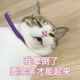  撩男朋友的猫咪表情包30张