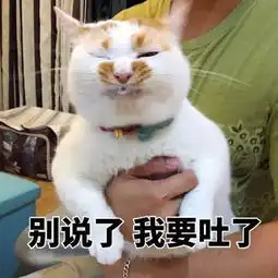 我们的表情包没了网红猫楼楼去世68万粉丝哀悼