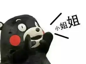  网通社汽车邵阳盛鸿