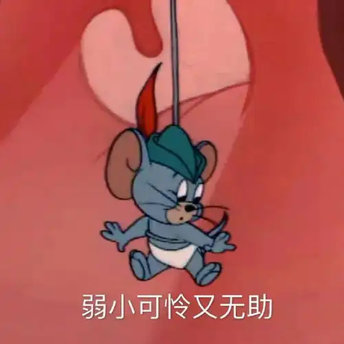  泪目考研人崩溃的十大瞬间