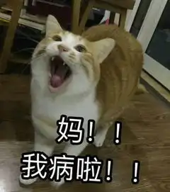  你们要的无水印喊妈喊爸喊儿砸的表情包都在这儿了