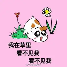  仓鼠qq表情包