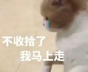  转账中表情包图片大全高清无水印版