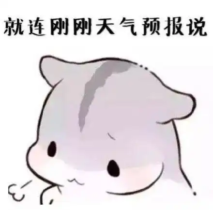  撩女朋友老婆表情包哼,你到底知不知道,我有多喜欢你
