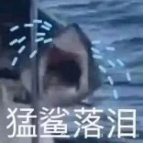  找一部星空卫视播放过的日本电影