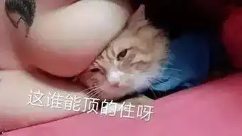 p表情包的文字颓废