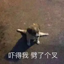 潮图表情包小程序相看两