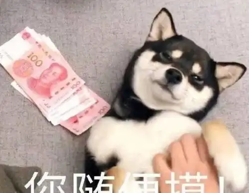  无节操的第一步,表情包一脸高傲的,您尽管摸