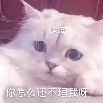  撒娇表情包跟男朋友撒撒娇零花钱少不了