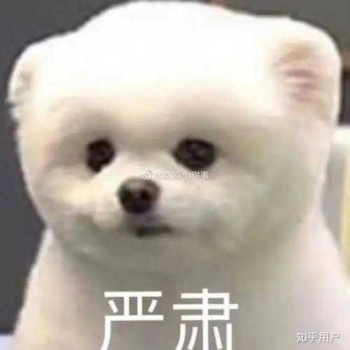  计算机科学与技术是深圳大学好还是合肥工业大学好