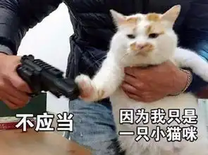  每日一笑,网红猫去世,我们的表情包回喵星球了
