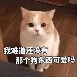 撒娇表情包图片给你