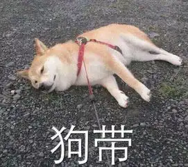  开学深圳早高峰车辆将增加一成早高峰行驶时长整体延长12分钟