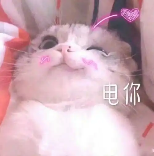  早报超有料丨中国女排重走十冠王之路imax春节档集结五部大片