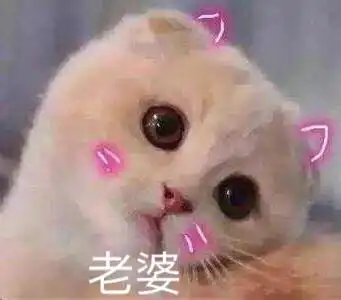  表情包软萌猫咪撒娇卖萌系列软妹必备