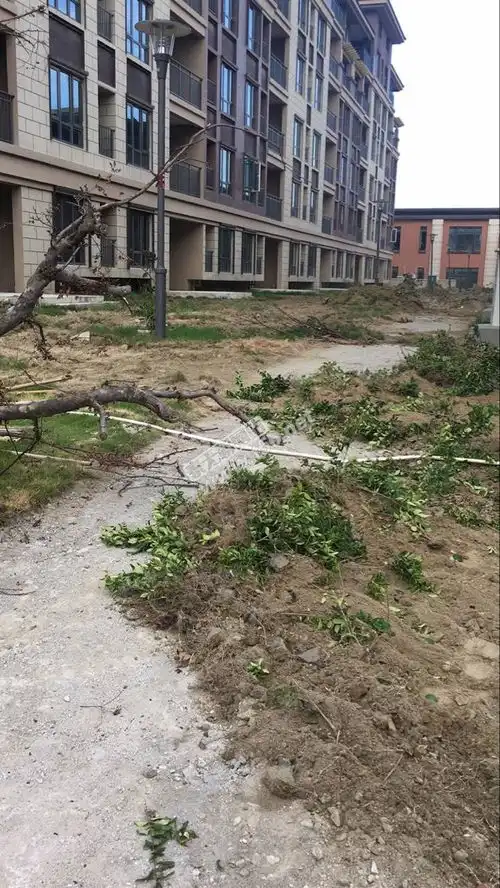  恒大地产祝你泰州市场一炮而红