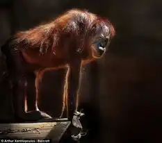  广州动物园
