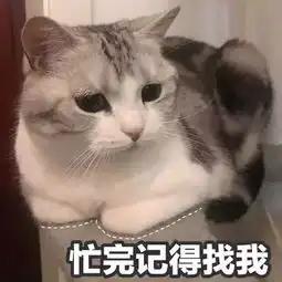  猫咪表情包打滚,撒娇,不要嫌弃我好吗