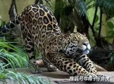  最担心的事情终于发生了哈哈哈哈被这届沙雕网友笑断气了