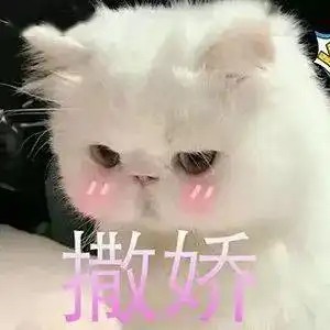  撒娇小猫咪表情包