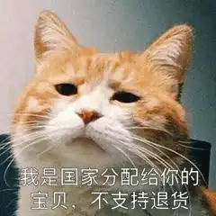 我在偷偷喜欢你表情包都