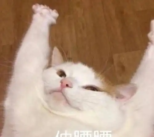  十条笑话苍蝇没看到同伴都死在上面了吗为什么还要往上飞
