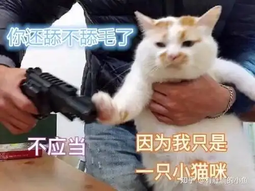  猫草虽好,可不要贪杯哦你值得拥有的化毛大法总结初版