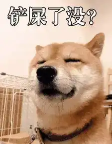  致敬我们用过的汪届表情包鼻祖16岁日本柴犬北登去世