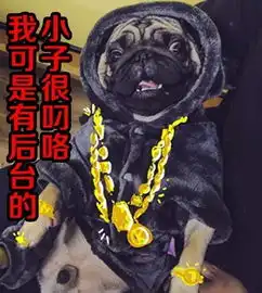  阿怪表情包第三期,狗笑得无邪,表情包疯了世界